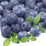 Blueberry