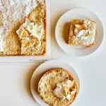 Tarta de Manzana