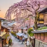Combo Kyoto