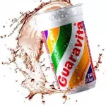 Guaravita.