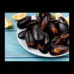 Choro - mejillon - mussel - mexilhão