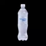 Agua mineral 500cc