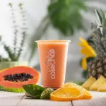 Mimosa