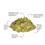 Eucalipto Folhas - 30g