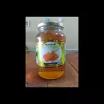 Mel c/favo Néctar do Cerrado 750g