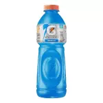 GATORADE BLUE BERRY 500ML