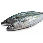 PESCADO JUREL