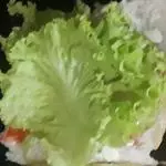 Alface