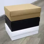 Caja de carton con tapa (L) #0551