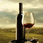 Vinhos