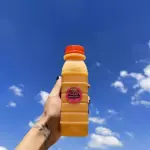 Suco manga natural