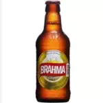 Casco Litrinho Vazio 300ml