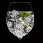 Gin & Tonic