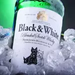 Black & White