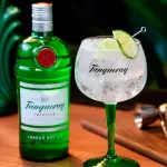 GIN TONICA TANQUERAY