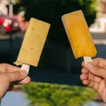 PALETA PATAGONIA