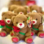 Urso com 🌹