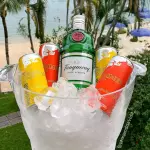 Tanqueray + 4 energéticos