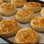 BISQUETS FEBO