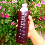 Jamaica 500ml