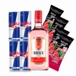 Combo Gin com Red bull