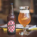 EL REY DE PALMAS (Golden Strong)  8%