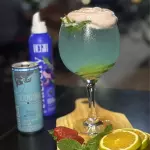 🫐 Gin Blueberry & Baunilha
