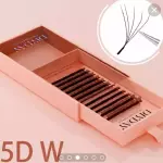5DW  (D) MIXTA