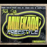 BANDEIRA LONA PRETA TRUCK STYLE