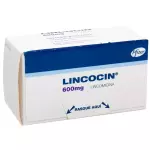 LINCOCIN 600MG AMPOLLA