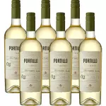 PORTILLO SAUVIGNON BLANC