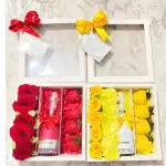 ESTUCHE ESPERANZA