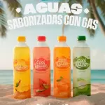 AGUAS SABORIZADAS COOL HEAVEN