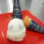 NIEVE DE GUANABANA