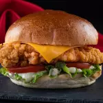 MR TENDER BURGER