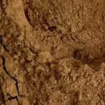 CANELA EM PÓ