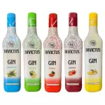 GIN INVICTUS 900ML