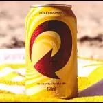 Cerveja Skol 350ml