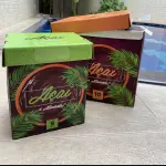 Caixa 5L - L por R$15,80