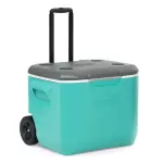 COOLER 60 QT