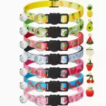 Collares de Frutitas