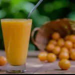 Suco natural Tapereba c/Leite 500ml