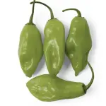 PIMENTA DE CHEIRO