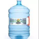 Lindoia Verão C/ Alça 20 Litros