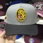 Gorra Leones gris curva