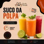 Suco 300ml