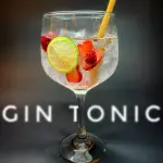 Gin Tonic
