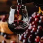Vinho