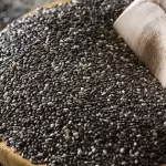 Chia