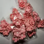 Flor rosada c/blanco